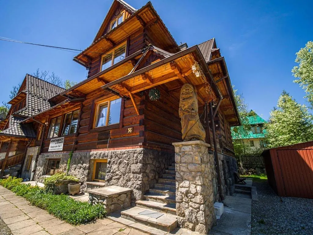 Apartamenty U Drwala 자코파네