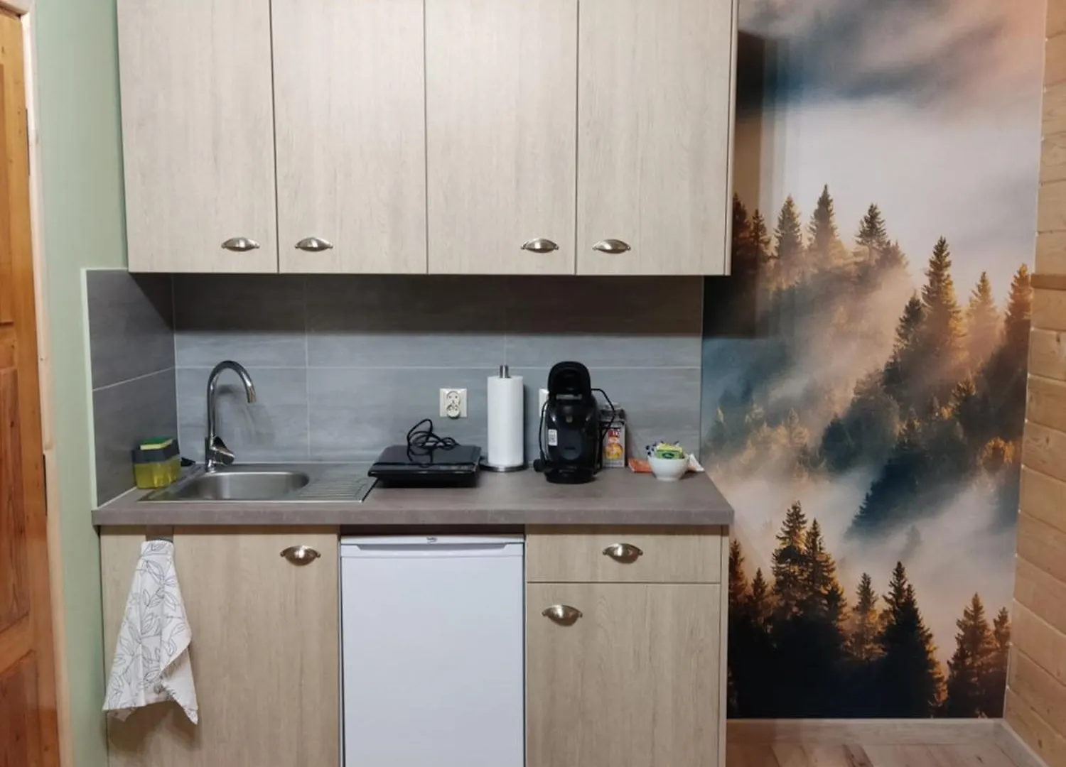 게스트하우스 Apartamenty U Drwala 자코파네